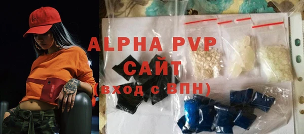 мдпв Бородино