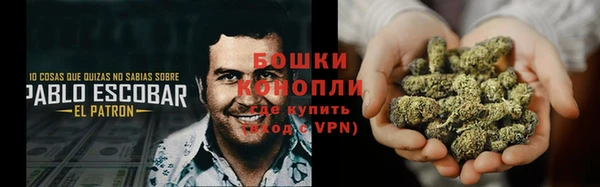 мдпв Бронницы