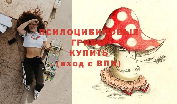 мдпв Бронницы