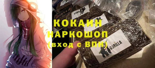 мдпв Бронницы