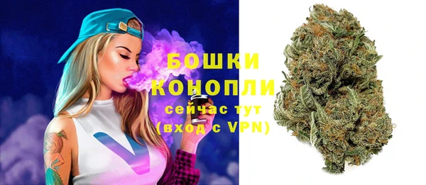 мдпв Бронницы