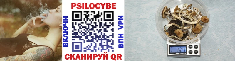 Галлюциногенные грибы мухоморы  наркотики  Новохопёрск 